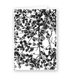 BODHI LEAVES 2