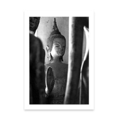 CONSCIOUSNESS