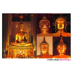BUDDHA IMAGES