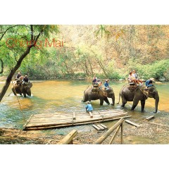 ELEPHANT TRAINING CAMP AT CHAING DAO