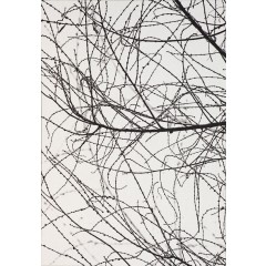 Nature Lines 9