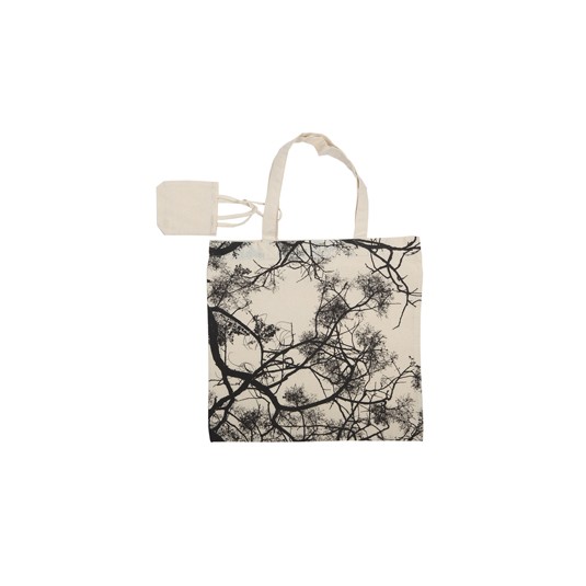 BLOSSOM 1