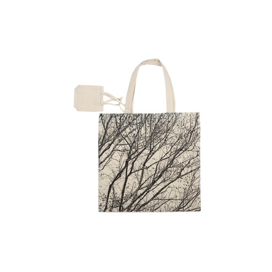 BRANCHES 5
