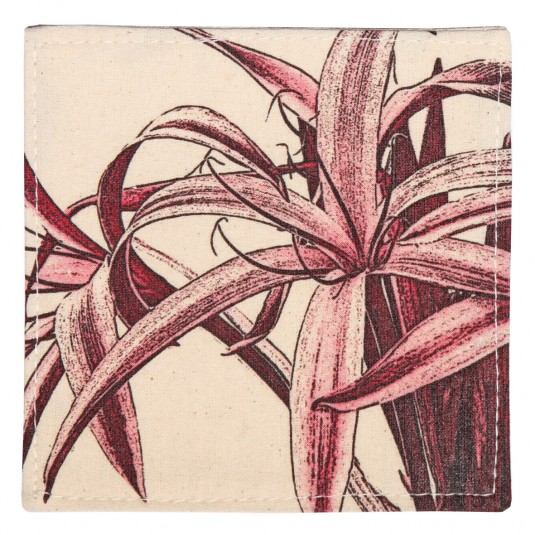 Spider Lily / Red