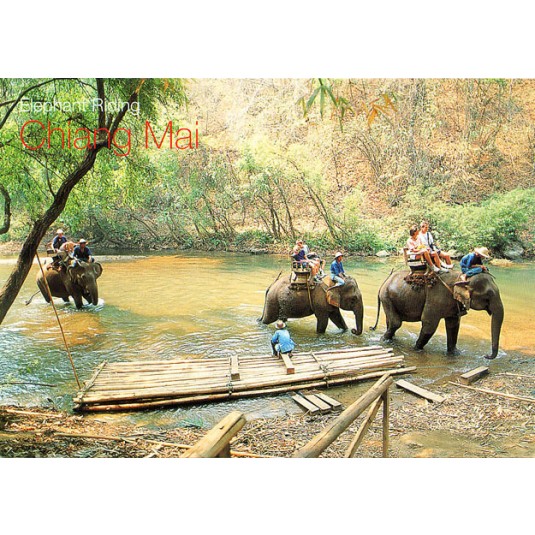 ELEPHANT TRAINING CAMP AT CHAING DAO