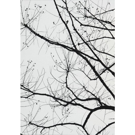 Branches 4