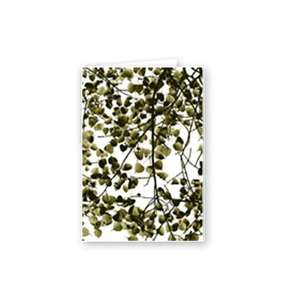 BODHI LEAVES 2 - GREEN