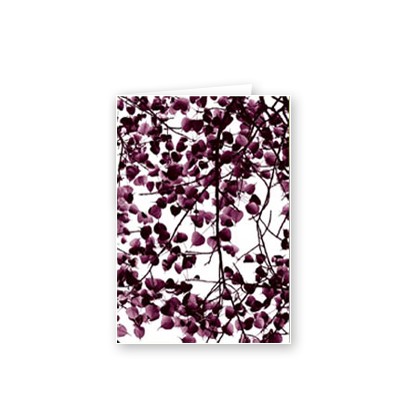 BODHI LEAVES 2 - RED