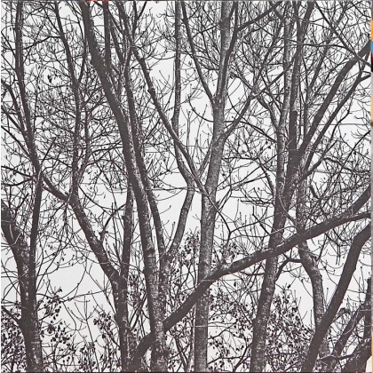 TREES